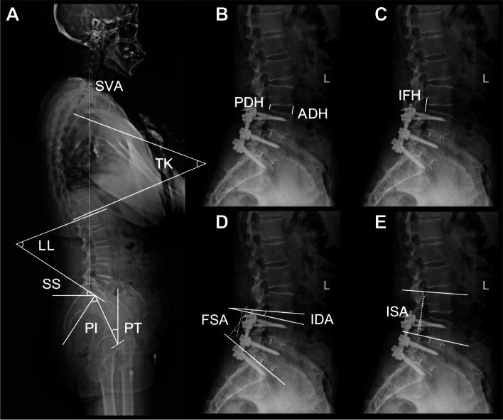 https://cdn.ncbi.nlm.nih.gov/pmc/blobs/0c7b/9921634/203f7f741574/12891_2023_6231_Fig2_HTML.jpg