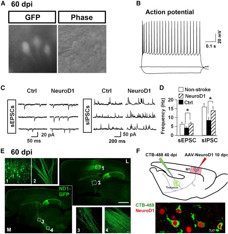 https://cdn.ncbi.nlm.nih.gov/pmc/blobs/0c7c/6952185/0bbda62e61a1/gr5.jpg