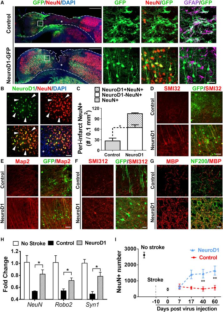 https://cdn.ncbi.nlm.nih.gov/pmc/blobs/0c7c/6952185/1b8e80e4fb89/gr3.jpg