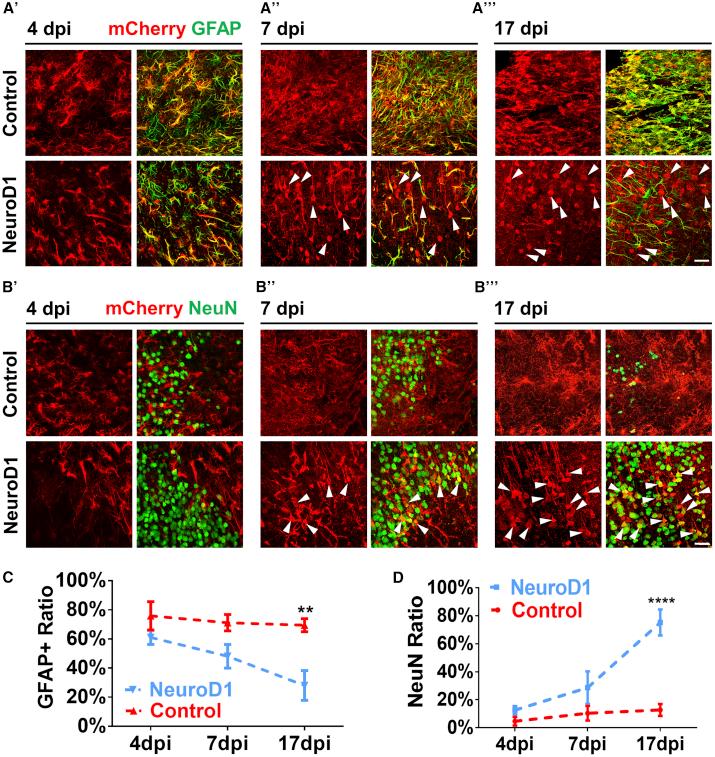 https://cdn.ncbi.nlm.nih.gov/pmc/blobs/0c7c/6952185/2f318ef2e883/gr2.jpg