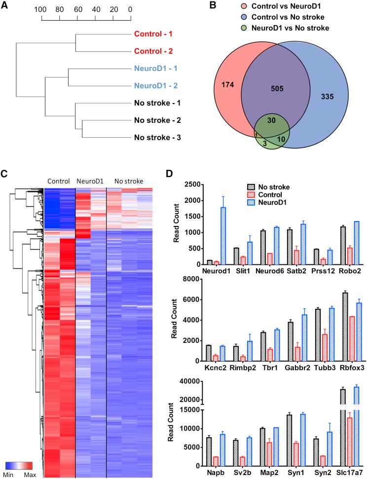 https://cdn.ncbi.nlm.nih.gov/pmc/blobs/0c7c/6952185/b2fcf50d3491/gr6.jpg
