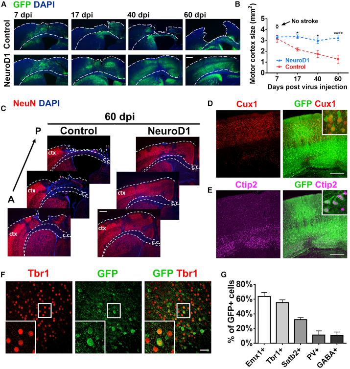 https://cdn.ncbi.nlm.nih.gov/pmc/blobs/0c7c/6952185/e96ec771e068/gr4.jpg