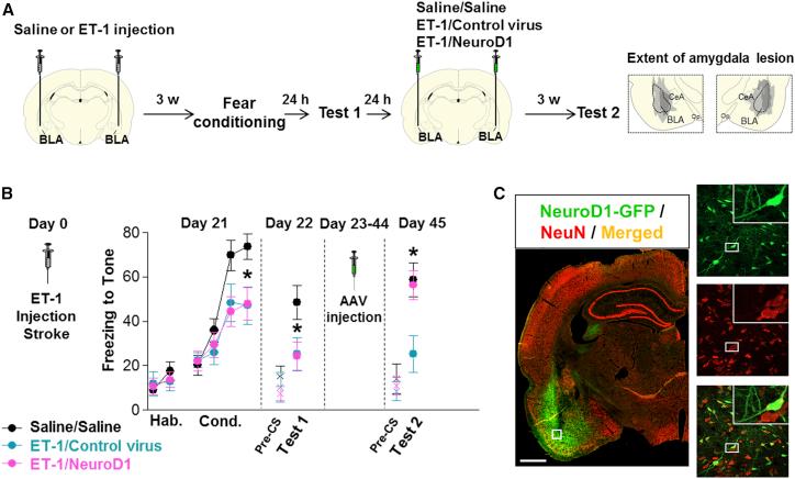 https://cdn.ncbi.nlm.nih.gov/pmc/blobs/0c7c/6952185/f4617cfbdc8a/gr8.jpg