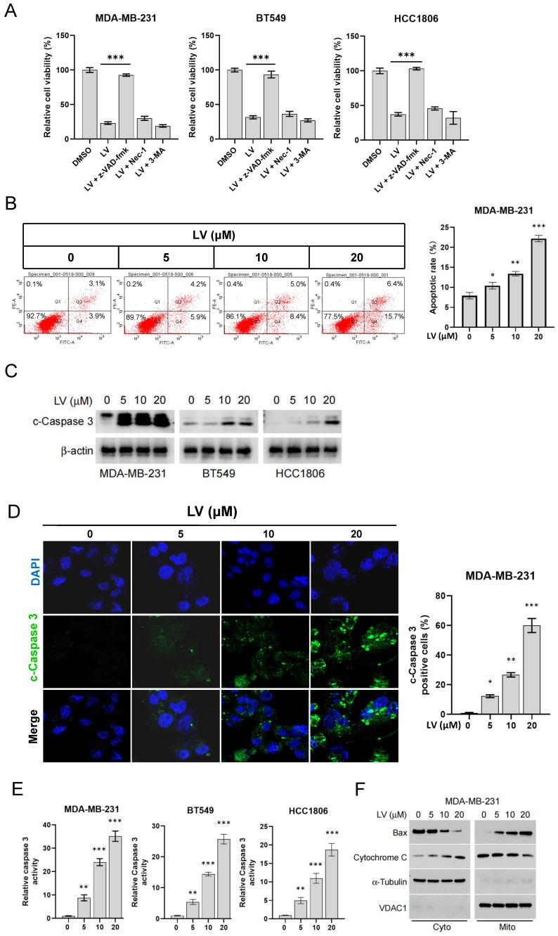 https://cdn.ncbi.nlm.nih.gov/pmc/blobs/0c7e/12154129/2294f4d25457/cells-14-00816-g001.jpg