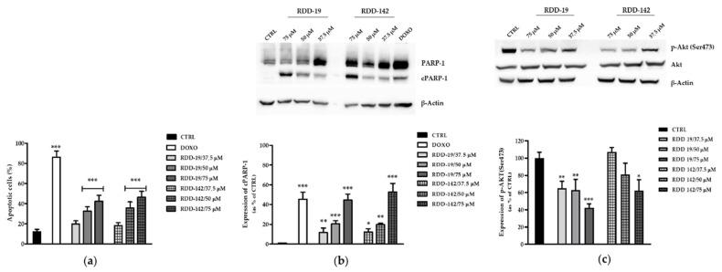 https://cdn.ncbi.nlm.nih.gov/pmc/blobs/0c7e/8618555/3b1da166cace/cells-10-03052-g005.jpg