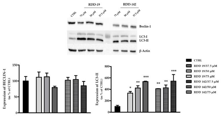 https://cdn.ncbi.nlm.nih.gov/pmc/blobs/0c7e/8618555/7088b8b33790/cells-10-03052-g007.jpg