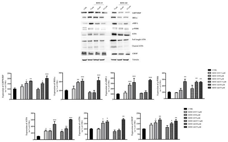 https://cdn.ncbi.nlm.nih.gov/pmc/blobs/0c7e/8618555/e9b58b11bdd8/cells-10-03052-g006.jpg
