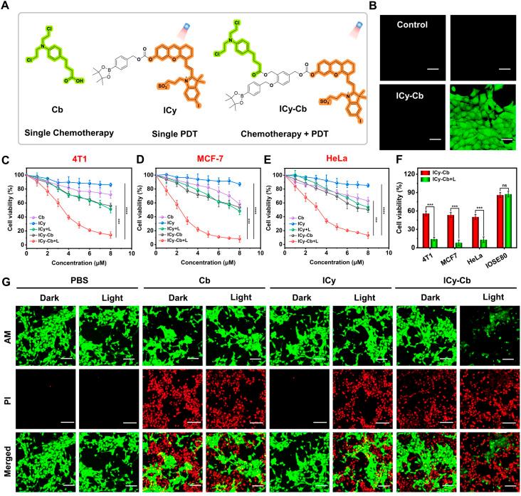 https://cdn.ncbi.nlm.nih.gov/pmc/blobs/0c81/12242997/337d486d9162/d5sc02877a-f3.jpg