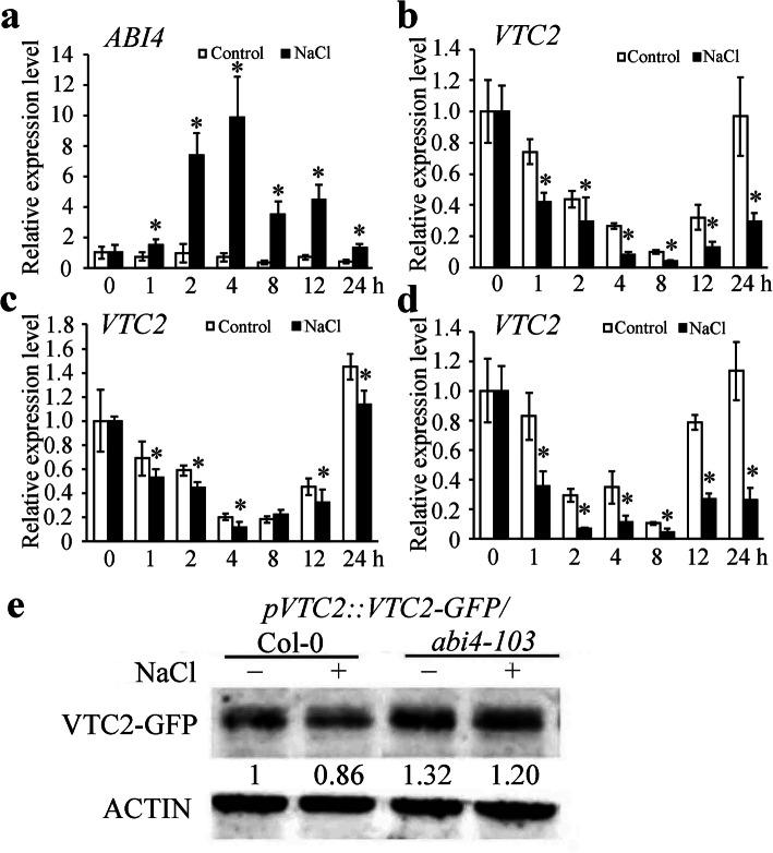 https://cdn.ncbi.nlm.nih.gov/pmc/blobs/0c81/7905542/529a5c6b853a/12870_2021_2882_Fig4_HTML.jpg