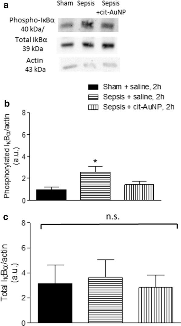 https://cdn.ncbi.nlm.nih.gov/pmc/blobs/0c82/7893894/a5e96c9b922a/12951_2021_796_Fig6_HTML.jpg