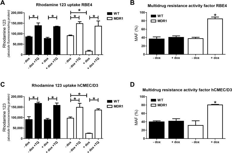 https://cdn.ncbi.nlm.nih.gov/pmc/blobs/0c82/8330100/4e1dd3bb3450/12987_2021_266_Fig6_HTML.jpg