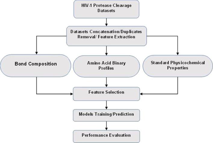 https://cdn.ncbi.nlm.nih.gov/pmc/blobs/0c82/9641908/571daf5b201b/12859_2022_5017_Fig1_HTML.jpg