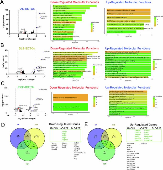 https://cdn.ncbi.nlm.nih.gov/pmc/blobs/0c83/11733013/e814ab1730d4/42003_2025_7499_Fig7_HTML.jpg