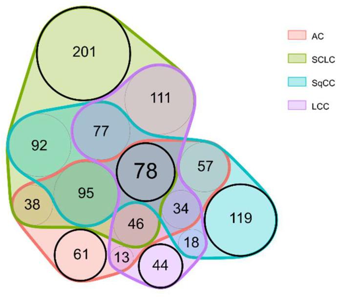 https://cdn.ncbi.nlm.nih.gov/pmc/blobs/0c84/9179298/4ca625e1738a/cancers-14-02629-g003.jpg