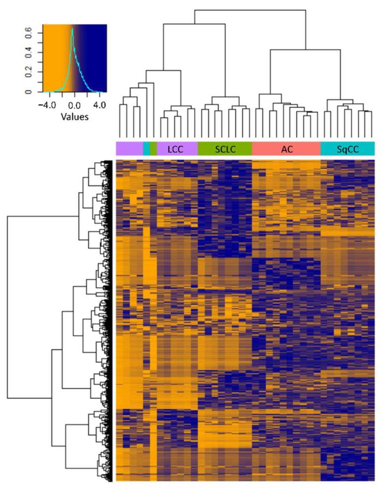 https://cdn.ncbi.nlm.nih.gov/pmc/blobs/0c84/9179298/55cf16fd9ab6/cancers-14-02629-g005.jpg
