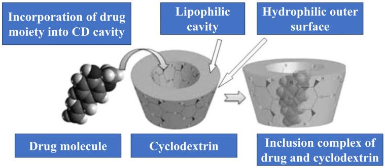 https://cdn.ncbi.nlm.nih.gov/pmc/blobs/0c86/11596893/5526177b7e44/molecules-29-05319-g002.jpg