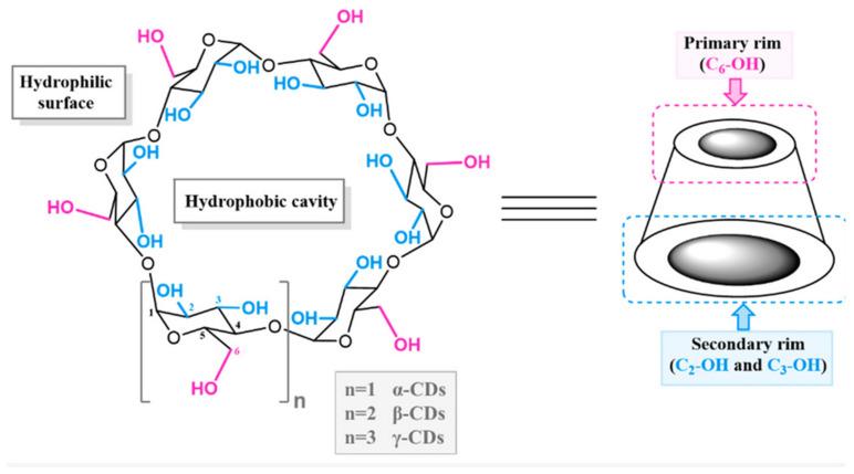 https://cdn.ncbi.nlm.nih.gov/pmc/blobs/0c86/11596893/be840bfe464d/molecules-29-05319-g001.jpg
