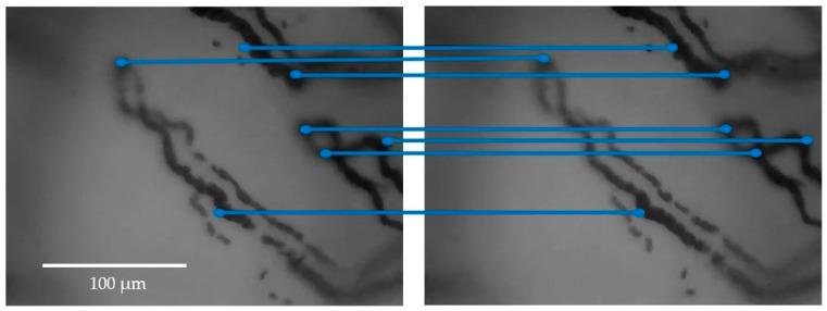 https://cdn.ncbi.nlm.nih.gov/pmc/blobs/0c87/10536112/1e85807b9309/sensors-23-07674-g006.jpg