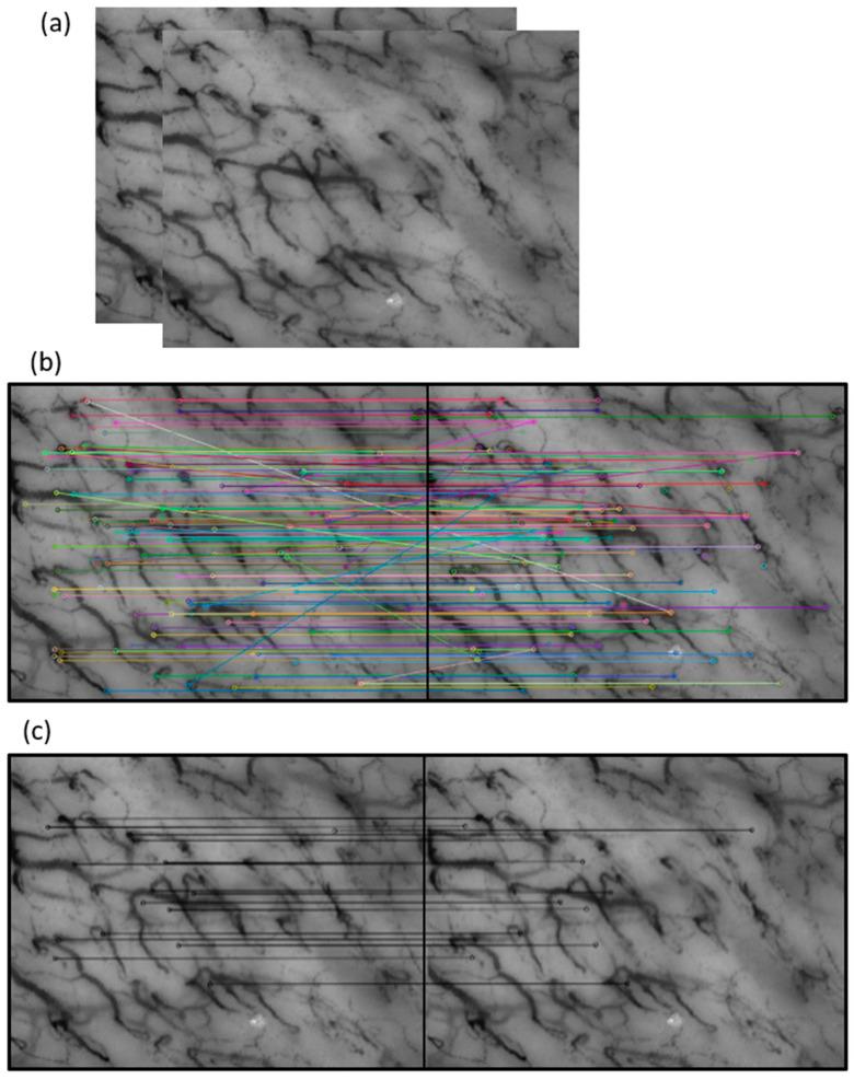 https://cdn.ncbi.nlm.nih.gov/pmc/blobs/0c87/10536112/3439d3b63300/sensors-23-07674-g005.jpg