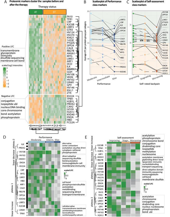 https://cdn.ncbi.nlm.nih.gov/pmc/blobs/0c8a/11521823/038cb6865e30/fspor-06-1393067-g005.jpg