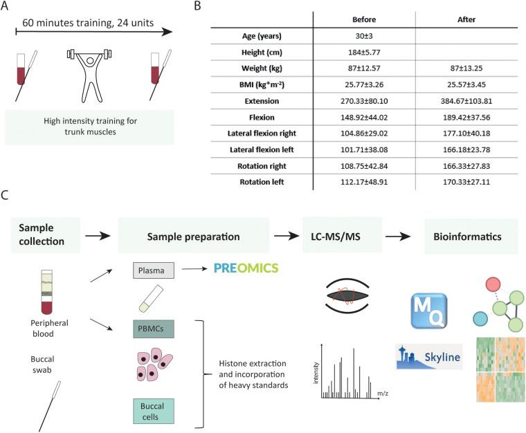 https://cdn.ncbi.nlm.nih.gov/pmc/blobs/0c8a/11521823/0850b453589c/fspor-06-1393067-g001.jpg
