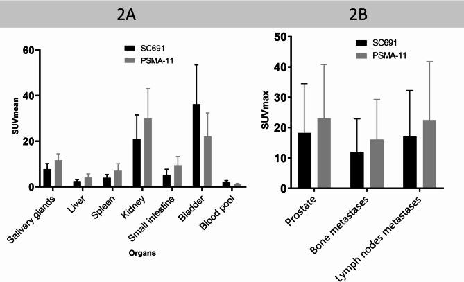 https://cdn.ncbi.nlm.nih.gov/pmc/blobs/0c8b/12144303/143e9cbb88ce/41598_2025_5344_Fig2_HTML.jpg