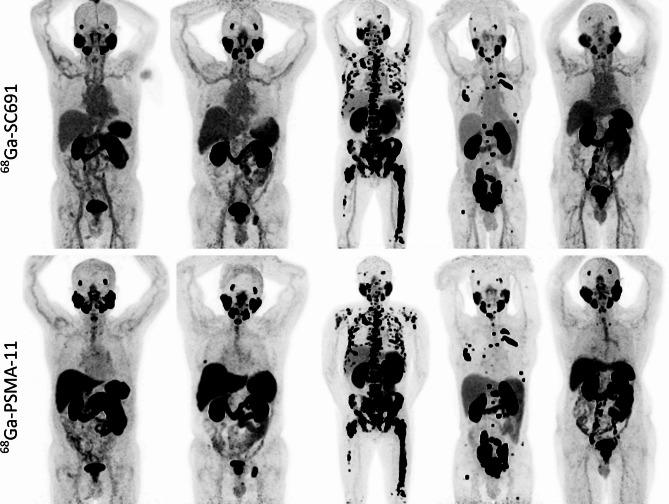 https://cdn.ncbi.nlm.nih.gov/pmc/blobs/0c8b/12144303/d723d3df51ec/41598_2025_5344_Fig3_HTML.jpg