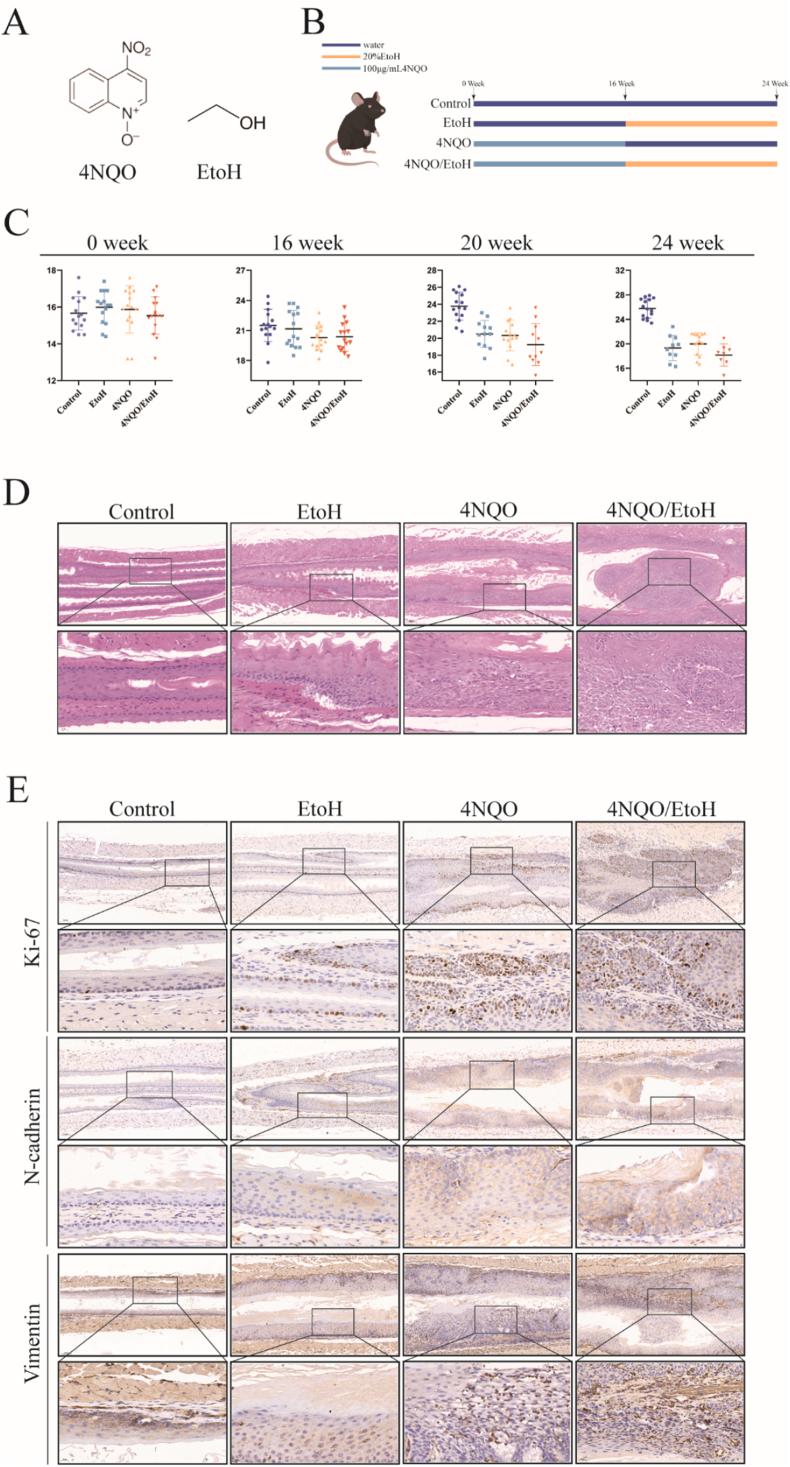 https://cdn.ncbi.nlm.nih.gov/pmc/blobs/0c8b/12340513/8f5c99ca1753/gr2.jpg