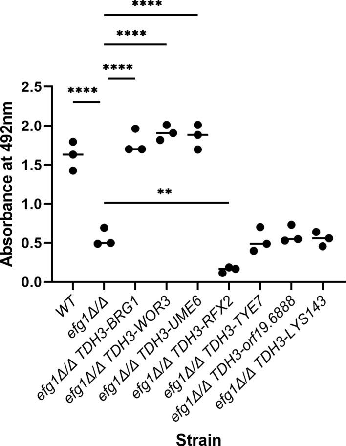 https://cdn.ncbi.nlm.nih.gov/pmc/blobs/0c8d/9901766/b8dfa37152b1/ppat.1011109.g006.jpg