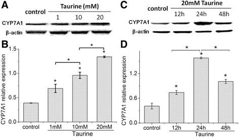https://cdn.ncbi.nlm.nih.gov/pmc/blobs/0c8f/5356372/279c3eaa6bcb/12944_2017_444_Fig1_HTML.jpg