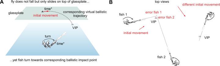 https://cdn.ncbi.nlm.nih.gov/pmc/blobs/0c90/12194133/a58d849ee2b8/elife-99634-fig2.jpg