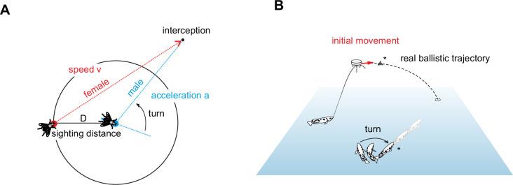 https://cdn.ncbi.nlm.nih.gov/pmc/blobs/0c90/12194133/cf034e51357d/elife-99634-fig1.jpg