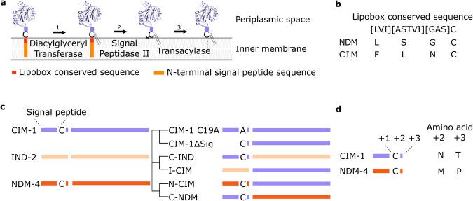 https://cdn.ncbi.nlm.nih.gov/pmc/blobs/0c92/10920655/71cfc2decb1c/42003_2024_5940_Fig2_HTML.jpg