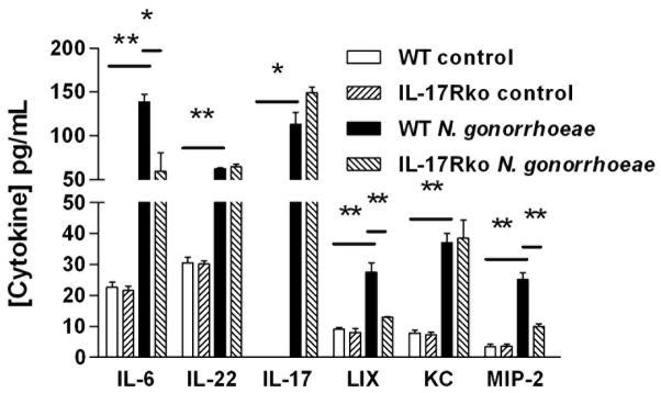 https://cdn.ncbi.nlm.nih.gov/pmc/blobs/0c94/2857675/52088fe45d12/nihms170347f7.jpg