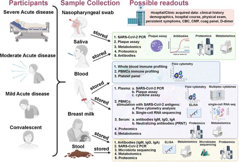 https://cdn.ncbi.nlm.nih.gov/pmc/blobs/0c94/8276459/ea5ab25bf48b/12879_2021_6359_Fig1_HTML.jpg