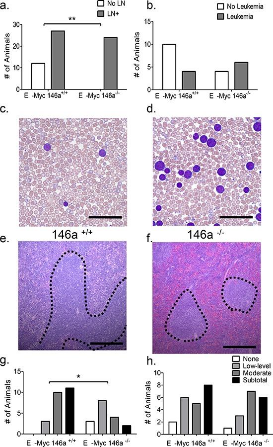 https://cdn.ncbi.nlm.nih.gov/pmc/blobs/0c96/4484436/8a98c63bf765/oncotarget-06-11023-g002.jpg