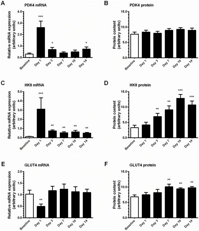 https://cdn.ncbi.nlm.nih.gov/pmc/blobs/0c97/3771935/9f45d4be762a/pone.0074098.g006.jpg