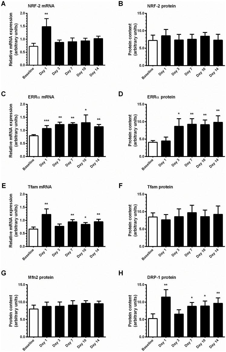 https://cdn.ncbi.nlm.nih.gov/pmc/blobs/0c97/3771935/d4a16fbb624f/pone.0074098.g005.jpg