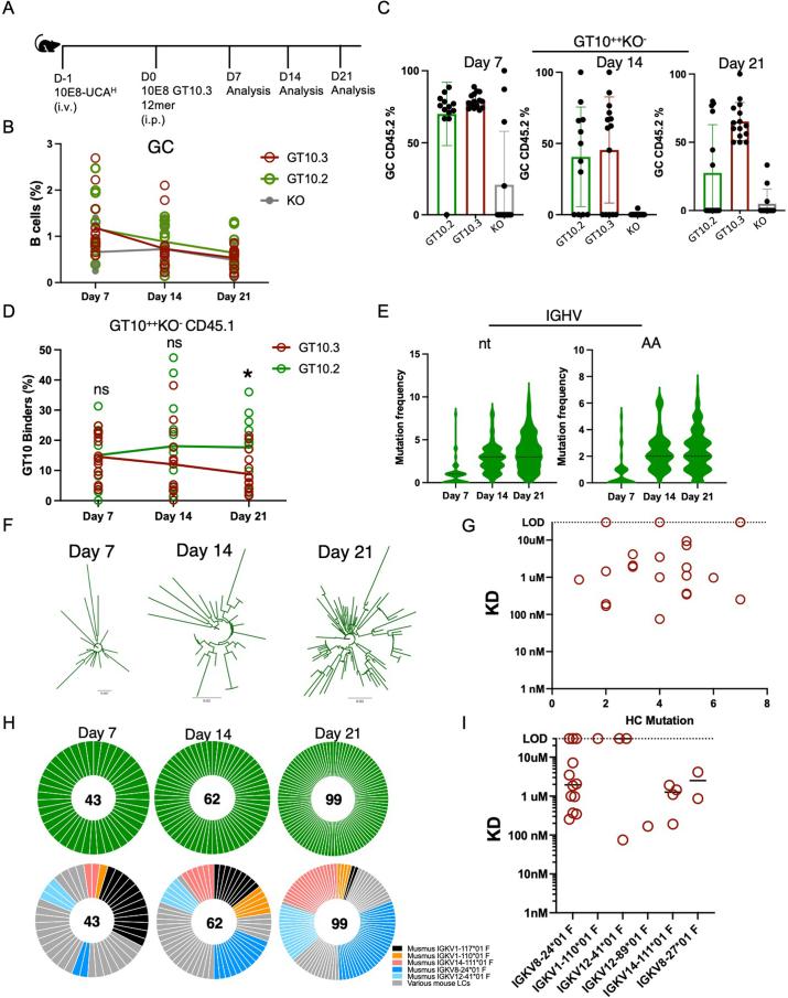 https://cdn.ncbi.nlm.nih.gov/pmc/blobs/0c99/11147770/23a62bb373ef/41590_2024_1844_Fig17_ESM.jpg
