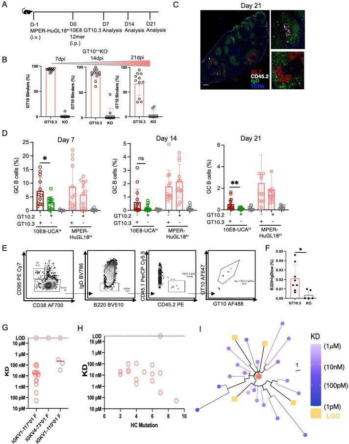 https://cdn.ncbi.nlm.nih.gov/pmc/blobs/0c99/11147770/47869f1e9934/41590_2024_1844_Fig18_ESM.jpg