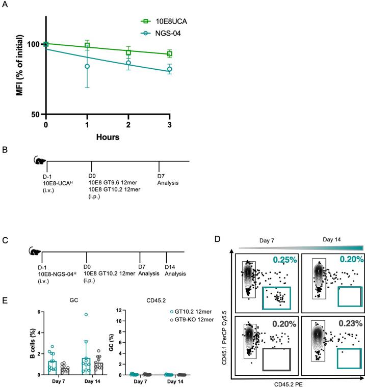 https://cdn.ncbi.nlm.nih.gov/pmc/blobs/0c99/11147770/c95718fe36d7/41590_2024_1844_Fig13_ESM.jpg