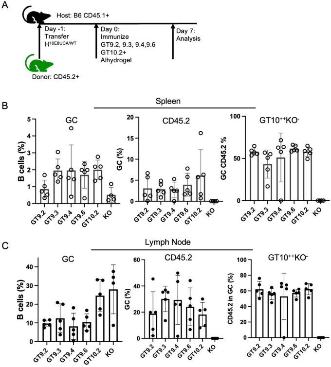 https://cdn.ncbi.nlm.nih.gov/pmc/blobs/0c99/11147770/e22c72cd5403/41590_2024_1844_Fig15_ESM.jpg