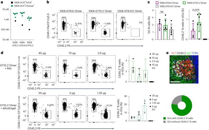 https://cdn.ncbi.nlm.nih.gov/pmc/blobs/0c99/11147770/f38954478384/41590_2024_1844_Fig3_HTML.jpg