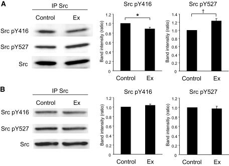 https://cdn.ncbi.nlm.nih.gov/pmc/blobs/0c99/3012174/160eb2dcddd2/zdb0011164390002.jpg