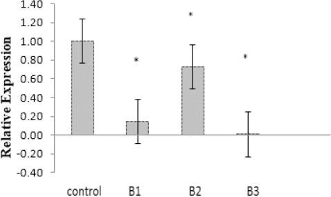 https://cdn.ncbi.nlm.nih.gov/pmc/blobs/0c9c/5651457/699059d0568f/IJBMS-20-1037-g001.jpg