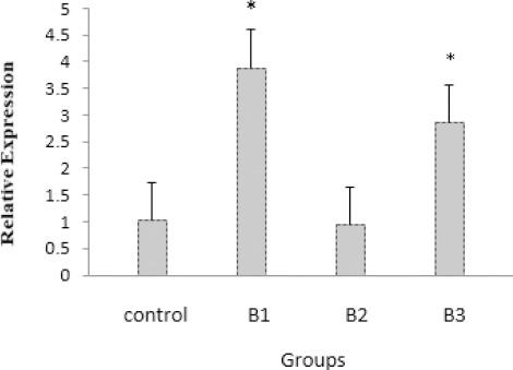 https://cdn.ncbi.nlm.nih.gov/pmc/blobs/0c9c/5651457/fd5937423fb5/IJBMS-20-1037-g003.jpg