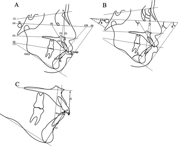 https://cdn.ncbi.nlm.nih.gov/pmc/blobs/0c9f/10821290/9474c639a58a/12903_2024_3927_Fig2_HTML.jpg
