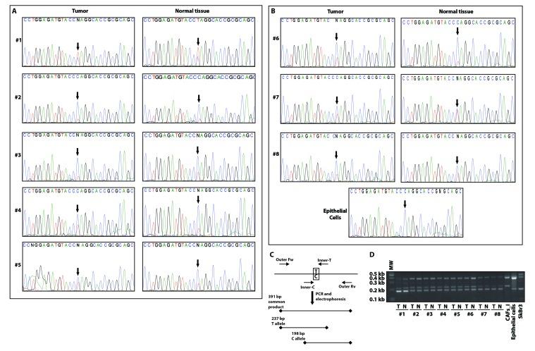 https://cdn.ncbi.nlm.nih.gov/pmc/blobs/0ca0/5564519/cad06d42f117/oncotarget-08-46728-g003.jpg