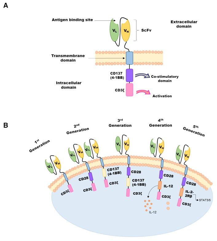 https://cdn.ncbi.nlm.nih.gov/pmc/blobs/0ca1/11858291/27c706f6e8af/pharmaceuticals-18-00156-g001.jpg