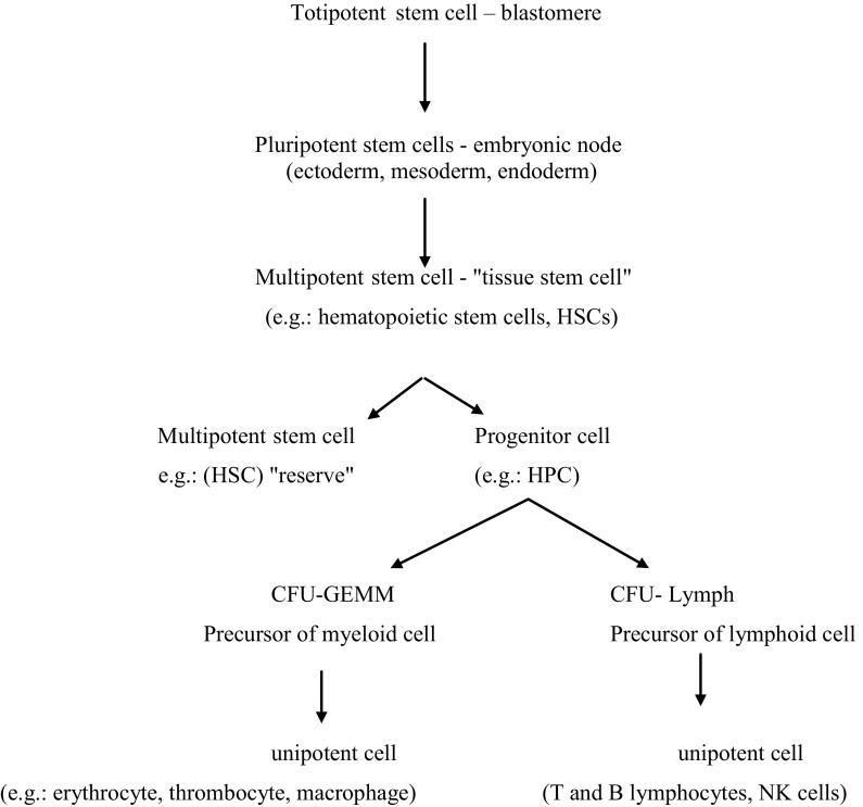 https://cdn.ncbi.nlm.nih.gov/pmc/blobs/0ca1/4371573/9854c0324ed1/10616_2014_9796_Fig1_HTML.jpg
